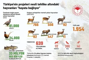 Doğanın Koruyucuları Yaban Hayvanları ve Yaşam Alanları